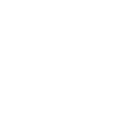 Portable icon