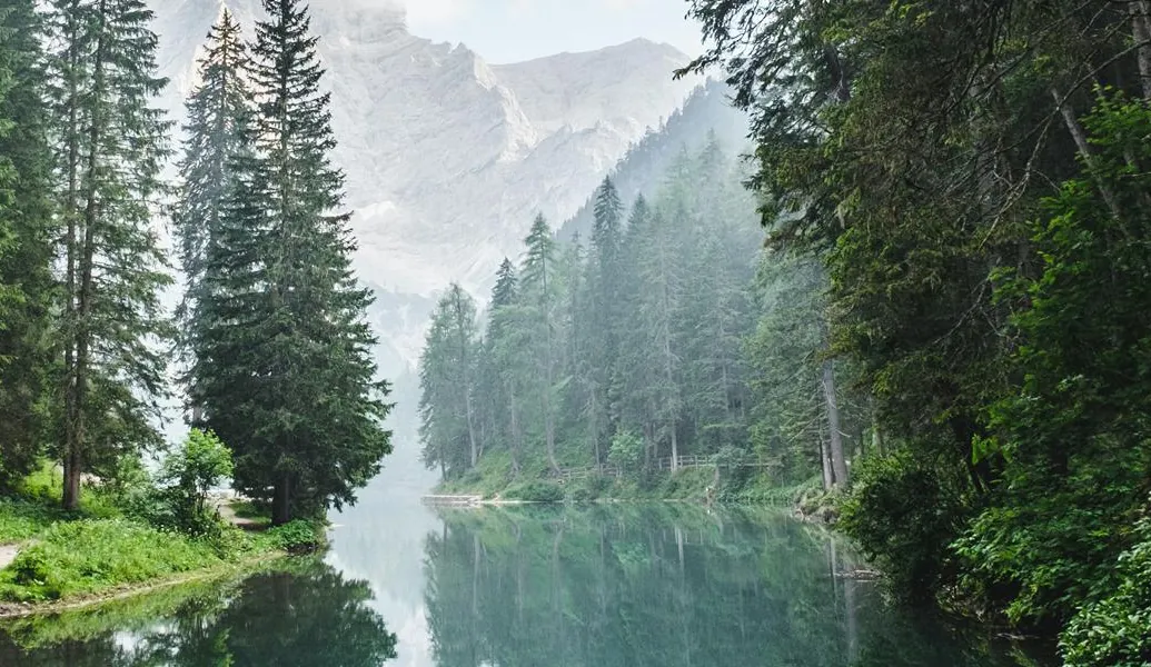 Waterway surrounded by forest and mountains