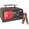 Associated 3075A Charger, 6/12 V, 75 A start-