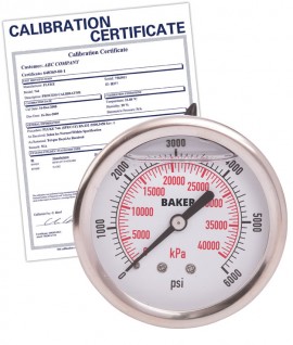 Baker AHNC Series Liquid Filled Pressure Gauge, 0 to 6000 psi/0 to 42,000 kPa, 2.5&amp;quot; dial, &amp;frac14;&amp;quot; NPT back, SS housing,-