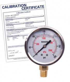 Baker AVNC Series Liquid Filled Pressure Gauge, 0 to 300 psi/0 to 2100 kPa, 2.5&amp;quot; dial, &amp;frac14;&amp;quot; NPT bottom, SS housing,-