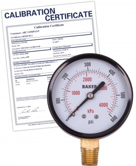 Baker LVBNA Series Pressure Gauge, 0 to 600 psi/0 to 4200 kPa, 2.5&amp;quot; dial, &amp;frac14;&amp;quot; NPT bottom, SS housing,-