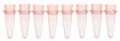 Bio Plas 5010-2 Thin Wall Micro Tube, 8 Tubes/Strip, 0.2mL, Red, (Pack of 125)-