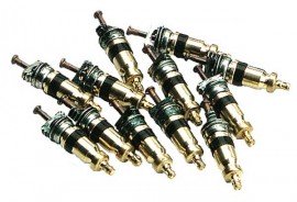 CPS AVS1 Valve Cores, 10-Pack-