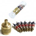 CPS AVS1V Valve Core and SAE Brass Cap Kit in Plastic Vial-
