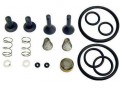 CPS TR21X1 Oil Free Compressor Valve Rebuild Kit-