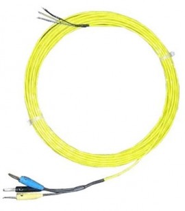 Delmhorst 315CAB-0021/100 Main Cable, 2 Conductor, Plug/Open, 100'-
