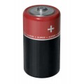 Dickson A125 123A Battery-