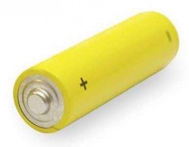 Dickson R006 AA Alkaline Battery-