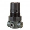 Dwyer Proximity MPR1-0 Miniature Pressure Regulator, 0-5 Psi, Air Only-