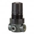 Dwyer MPR2-1 Pressure Regulator, 0-15 Psi, Air &amp; Water-