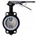 Dwyer WE20-AHD00-WP Manual Wafer Style Butterfly Valve (2") with PTFE Liner-