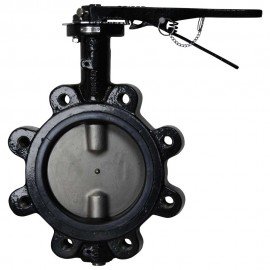 Dwyer WE20-DHD00-LP Manual Lug Style Butterfly Valve (4") with PTFE Liner-
