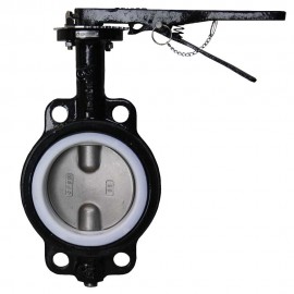 Dwyer WE20-FHD00-WP Manual Wafer Style Butterfly Valve (6") with PTFE Liner-