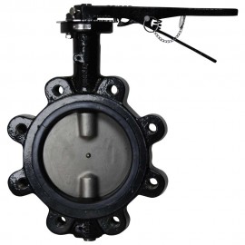 Dwyer WE20-GHD00-LP Manual Lug Style Butterfly Valve (8") with PTFE Liner-