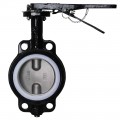 Dwyer WE20-HHD00-WP Manual Wafer Style Butterfly Valve (10") with PTFE Liner-