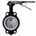 Dwyer WE20-IHD00-WP Manual Wafer Style Butterfly Valve (12&quot;) with PTFE Liner-