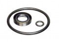 Fluke P5523SK Seal Kit-
