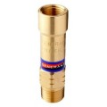 Generant Cryogenic Pressure Relief Valve, 1/4&amp;quot; NPT, 22 psi-