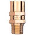 Generant VRVI Vent Relief Valve, &amp;frac14;&amp;quot; port size, 5 psig-