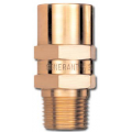 Generant VRVI Series Inline Vent Relief Valve, 1/2", 316 SS, EP seal, 70 psig-