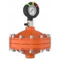 Icon Process Controls PPPF-075-F PulsePro PF Series Pulsation Dampener, 0.75&amp;quot;, PVDF-