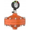Icon Process Controls PPPF-075-S PulsePro® Pulsation Dampener, 3/4&quot;, 316 SS-