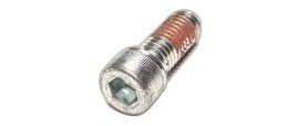 Lincoln Industrial 270658 Socket Head Cap Screw-