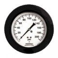 Marsh H1848 Quality Gauge, back flanged, 0 to 100 psi-