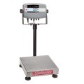 OHAUS D51P10QR1 Bench Scale, Square, 25 lb-