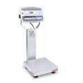 Ohaus D52XW2WQS6 Defender 5000 Column-Mount Washdown Bench Scale, 5 lb capacity, 10 x 10&quot; platform-