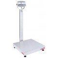 Ohaus D52XW50WQV8 Defender 5000 Multifunctional Bench Scale, 100 lbs, 24 x 24&quot;-