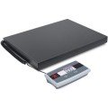 Ohaus C31M75L Shipping Scale, 150lb-