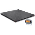 OHAUS i-DF33P2500B1R DEFENDER&amp;trade; 3000 Floor Scale withABS indicator, 2,500 lbs (1,250 kg), 3&#039; X 3&#039;-