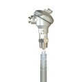 Omega FSW-25 Series 304 SS Paddle Flow Switch, 1" PT, SPDT-