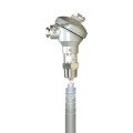 Omega FSW-25 Series 304 SS Paddle Flow Switch, 1" PT, SPDT-