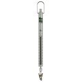 PESOLA 20100 Micro-Line Metric Spring Scale, 100g-