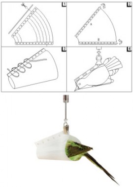 PESOLA 3.655 Bird Weighing Cone for the Micro, Medio, and Light-Line, 5 Pieces-