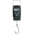 Pesola PHS040 Compact Hanging Scale, 40kg-