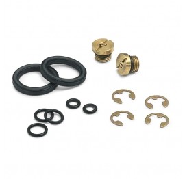 Ralston DV0V-REPK DV0V Pump Repair Kit, brass-