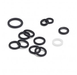 Ralston QTCM-REPK Manifold Repair Kit for QTCM, QSCM-