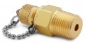 Ralston QTFT-4MB1 Male NPT x Male Quick-test Adapter with check-valve and cap and chain, 0.5", brass-