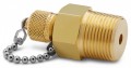 Ralston QTFT-6MB1 Male NPT x Male Quick-Test Adapter with check-valve and cap and chain, 0.75&quot;, brass-
