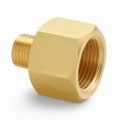 Ralston QTHA-MFB0-2015 Metric Female x Male Quick-Test Adapter, brass-