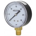 REOTEMP PD25 General Purpose Gauge with bottom mount, 2.5&amp;quot; dial, 0 to 60 psi-