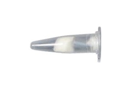 RKI 51-1501RK Replacement Lamp, 0 to 2,000 ppm-