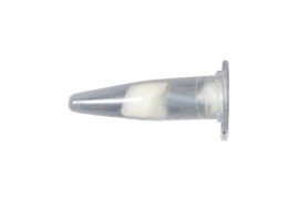 RKI 51-1501RK Replacement Lamp, 0 to 2,000 ppm-