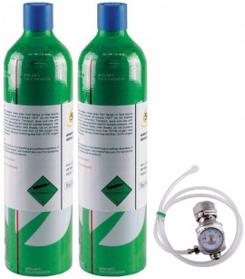 SENSIT 881-00090 4-Gas Calibration Kit with 2 Cylinders for the P400, CH&lt;sub&gt;4&lt;/sub&gt;, CO, O&lt;sub&gt;2&lt;/sub&gt;, and HCN -