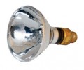 Spectroline NDT BLE-150BS-115M Broad-Beam Bulb, 150W-