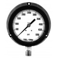 Tel-Tru 10 Solid Front Process Pressure Gauge, 0 to 30 psi, 4&amp;frac12;&amp;quot;-